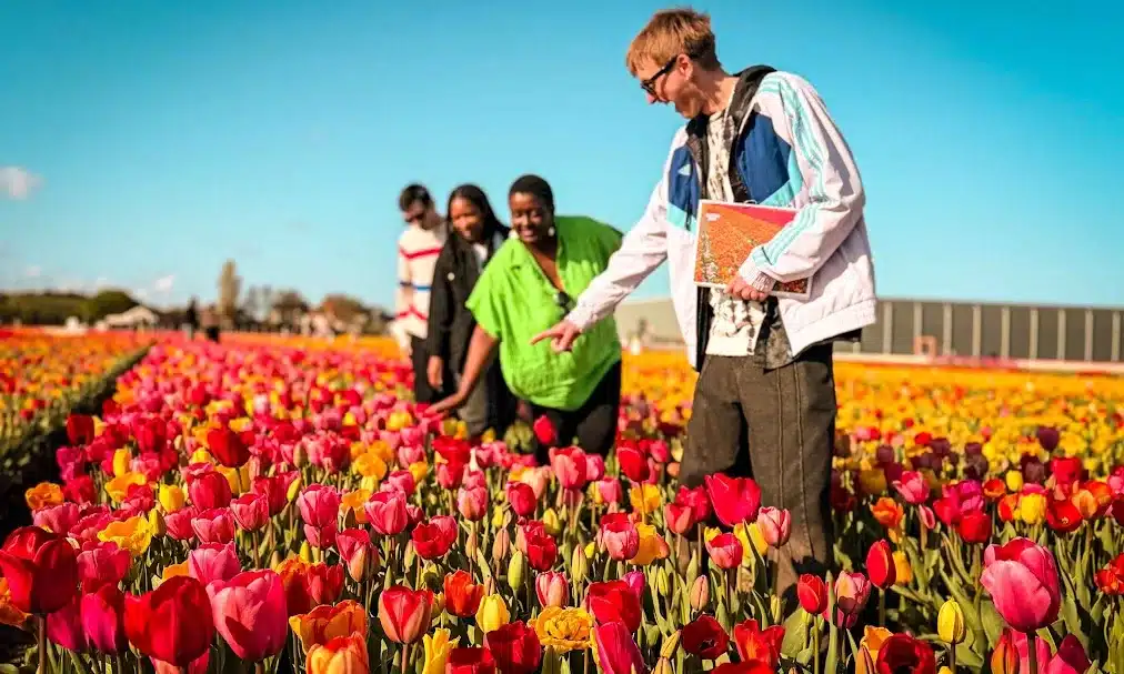 Discover the Tulip Experience