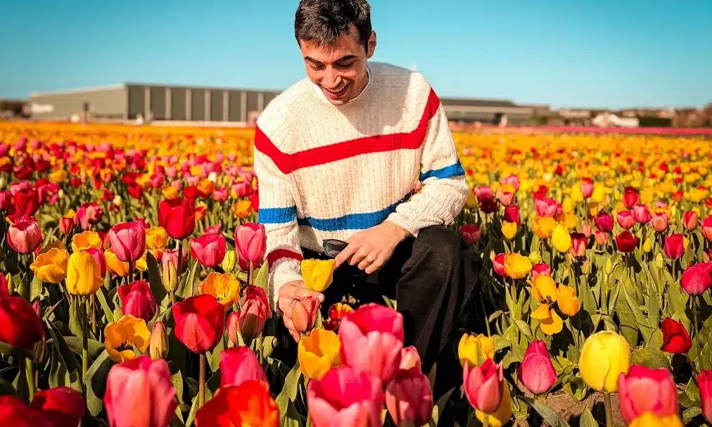Get Among the Tulips